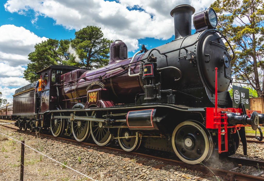 A 116 Year Old Steam Locomotive 3265 jigsaw puzzle in Puzzle of the Day puzzles on TheJigsawPuzzles.com