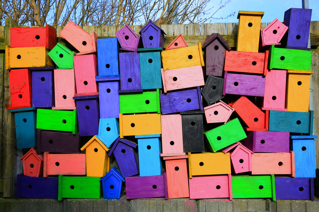 Nesting Boxes in Sunny February jigsaw puzzle in Puzzle of the Day puzzles on TheJigsawPuzzles.com