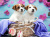 Jack Russell Terrier Dogs in a Basket