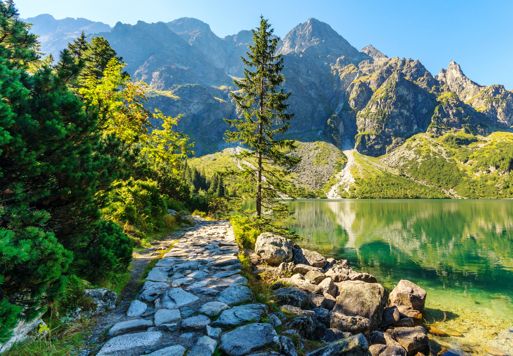 Morskie Oko, Tatras, Pologne jigsaw puzzle in Magnifiques vues puzzles on TheJigsawPuzzles.com