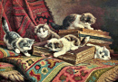 Kittens Playing on a Stack of Books