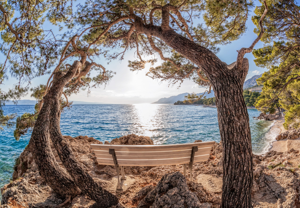 Alone Bench With Pine Trees in Croatia jigsaw puzzle in Great Sightings puzzles on TheJigsawPuzzles.com