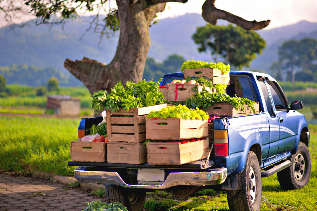 Blue Pickup Truck with Fresh Vegetables jigsaw puzzle in Puzzle of the Day puzzles on TheJigsawPuzzles.com