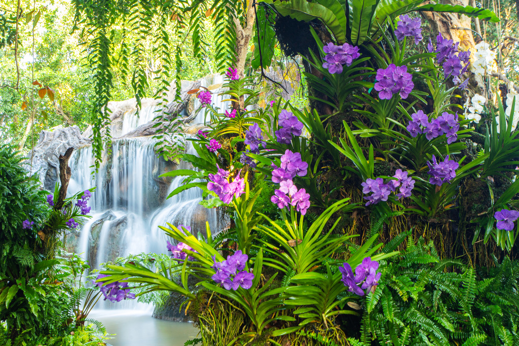 Thailändische Orchideen mit Wasserfall jigsaw puzzle in Puzzle des Tages puzzles on TheJigsawPuzzles.com