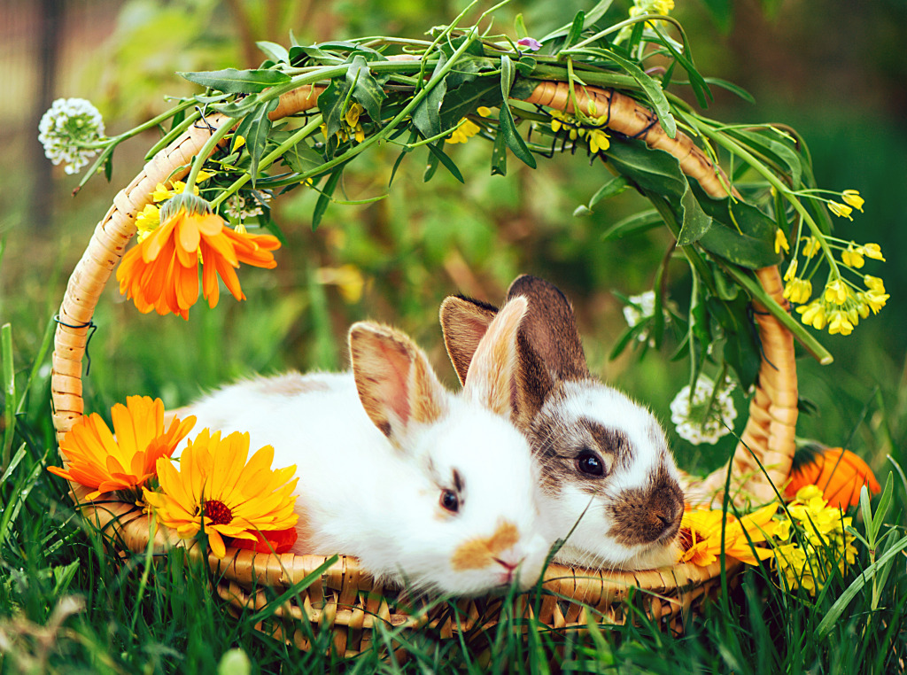 Cute Baby Bunnies in a Basket jigsaw puzzle in Animals puzzles on TheJigsawPuzzles.com