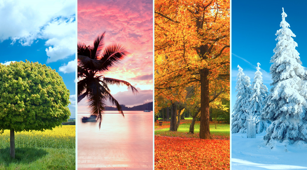 Four Seasons of the Year jigsaw puzzle in Puzzle of the Day puzzles on TheJigsawPuzzles.com