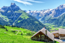 Paysage de la nature alpine suisse