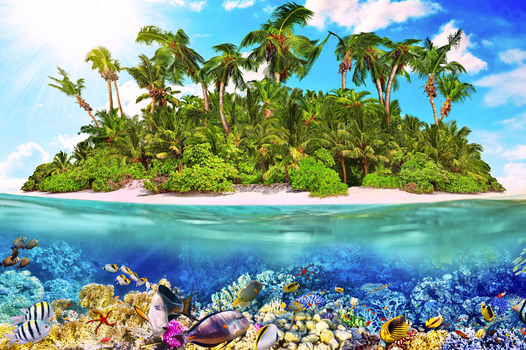 Wonderful Underwater World jigsaw puzzle in Puzzle of the Day puzzles on TheJigsawPuzzles.com