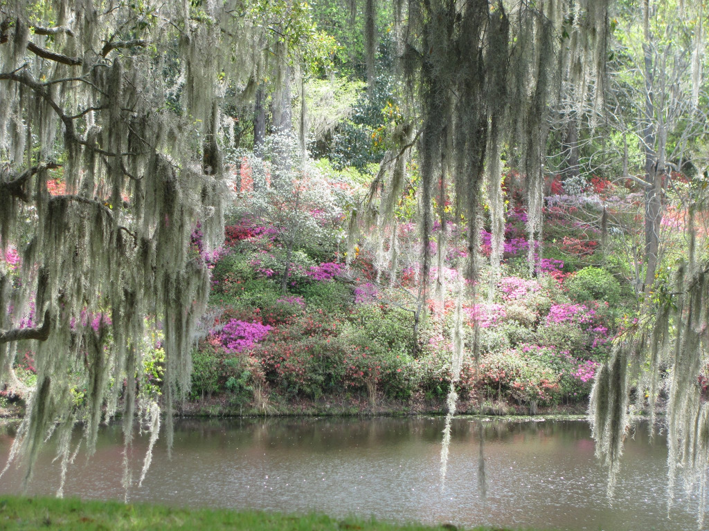 Middleton Place South Carolina jigsaw puzzle in Linda  Lou Bates puzzles on TheJigsawPuzzles.com