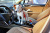 Jack Russell Terrier in the Car