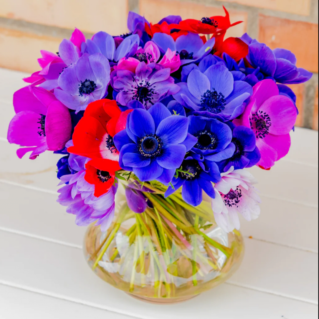 Anemones in a vase jigsaw puzzle in Carolyn Wright puzzles on TheJigsawPuzzles.com