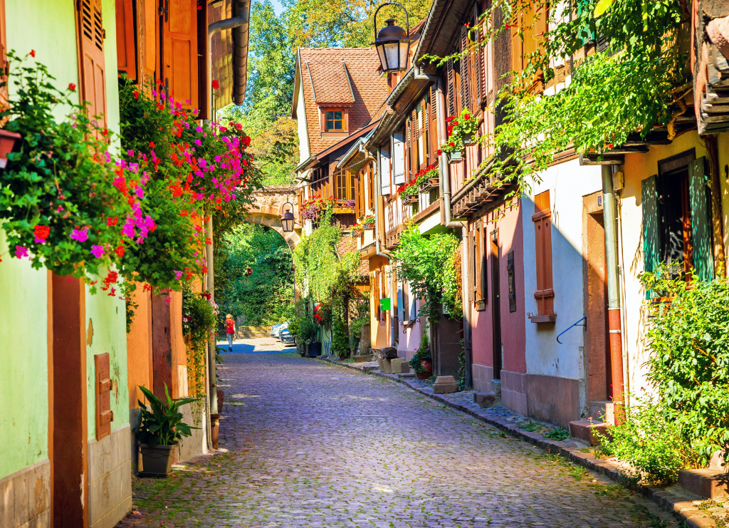 Charming Streets of Colmar,  Alsace, France jigsaw puzzle in Street View puzzles on TheJigsawPuzzles.com