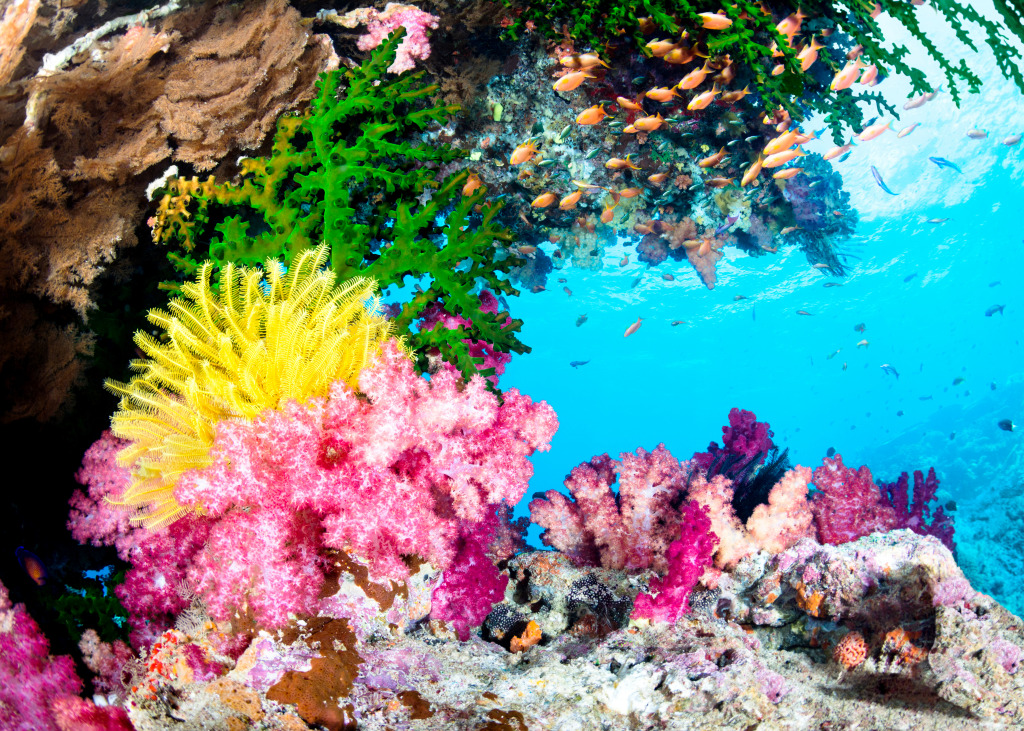 Beautiful Tropical Reef with Bright Corals jigsaw puzzle in Under the Sea puzzles on TheJigsawPuzzles.com