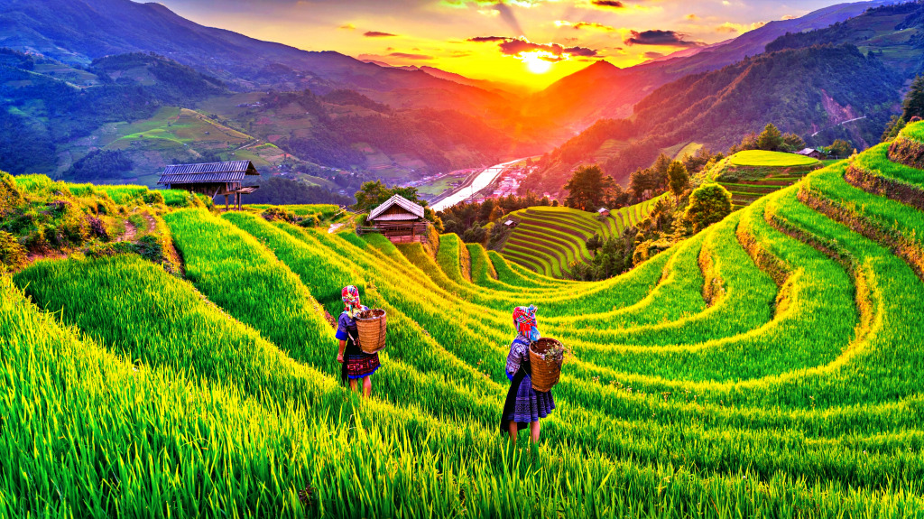 Reisterrassen in Mu Cang Chai, Vietnam jigsaw puzzle in Puzzle des Tages puzzles on TheJigsawPuzzles.com