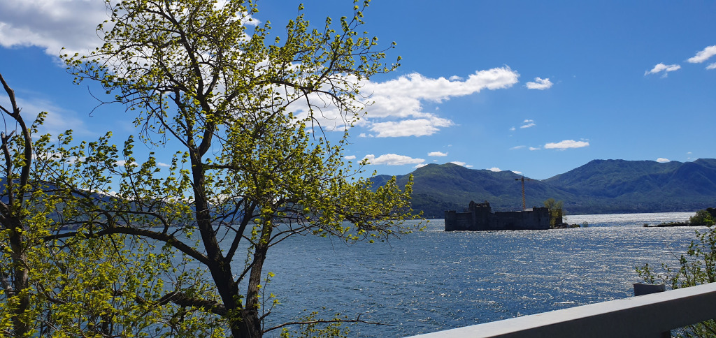 Lagomagore jigsaw puzzle in Martha Gabriel puzzles on TheJigsawPuzzles.com