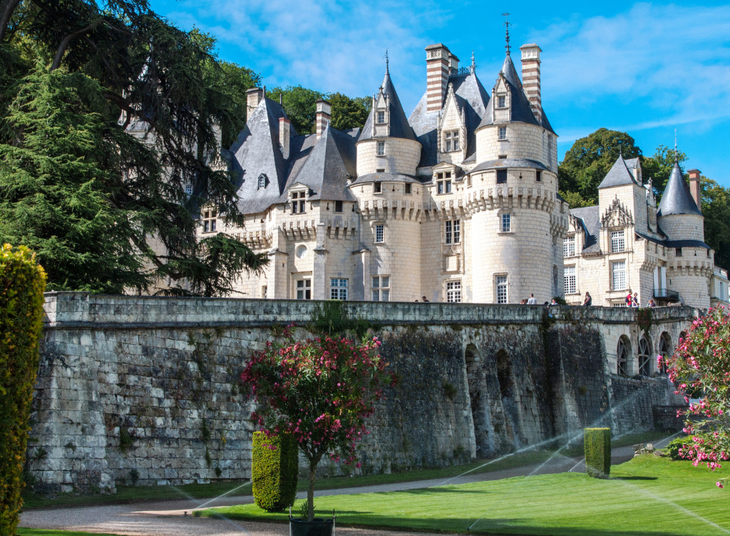 Castles of the Loire Valley, France jigsaw puzzle in Castles puzzles on TheJigsawPuzzles.com