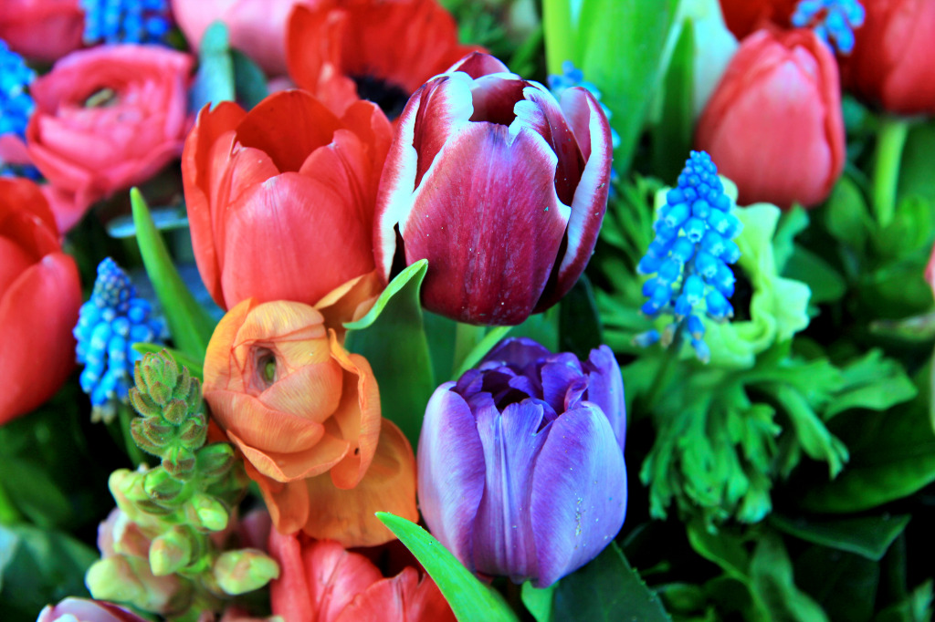Frühlingsstrauß mit Ranunkeln, Tulpen und Anemonen in leuchtenden Farben jigsaw puzzle in Blumen puzzles on TheJigsawPuzzles.com