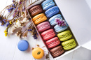 Box of French Macarons and Dried Flowers