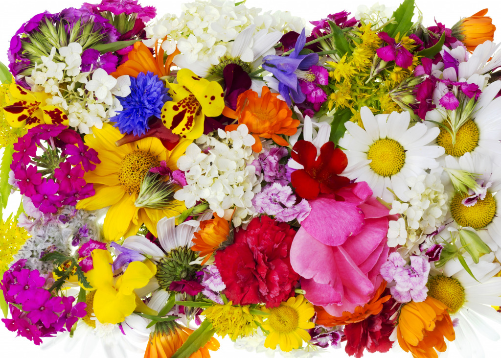 Summer Flower Arrangement jigsaw puzzle in Puzzle of the Day puzzles on TheJigsawPuzzles.com