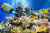 Tropical Fish and Corals in the Red Sea