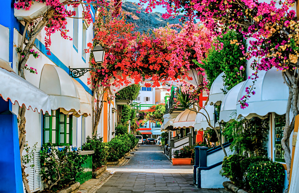 A Street in Puerto de Mogán, Spain jigsaw puzzle in Flowers puzzles on TheJigsawPuzzles.com