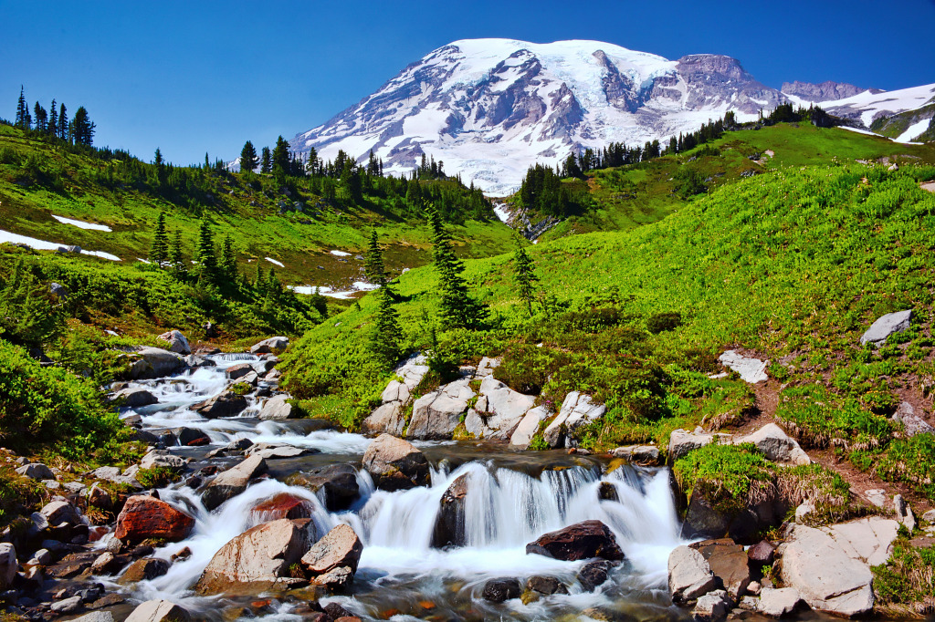 Myrtle Falls, Parque Nacional do Monte Rainier, EUA jigsaw puzzle in Cachoeiras puzzles on TheJigsawPuzzles.com