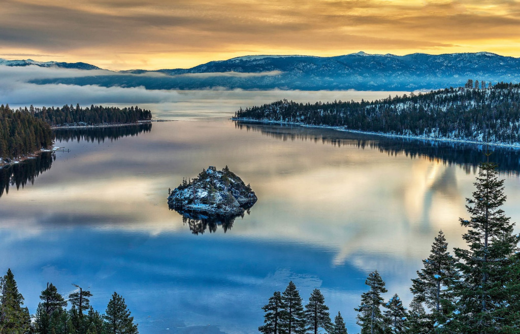 Screenshot 2024-07-21 070524 jigsaw puzzle in Carol Bush puzzles on TheJigsawPuzzles.com