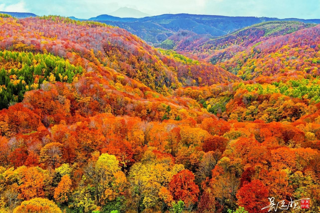 Fall Foliage jigsaw puzzle in Wei F Chen puzzles on TheJigsawPuzzles.com