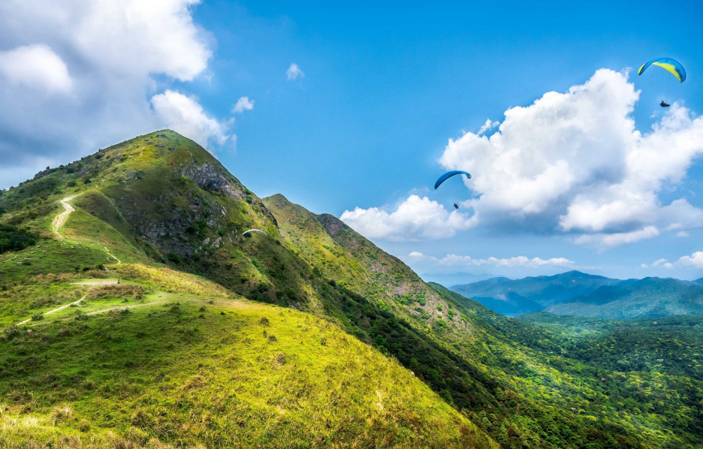 Screenshot 2024-07-22 093733 jigsaw puzzle in Carol Bush puzzles on TheJigsawPuzzles.com