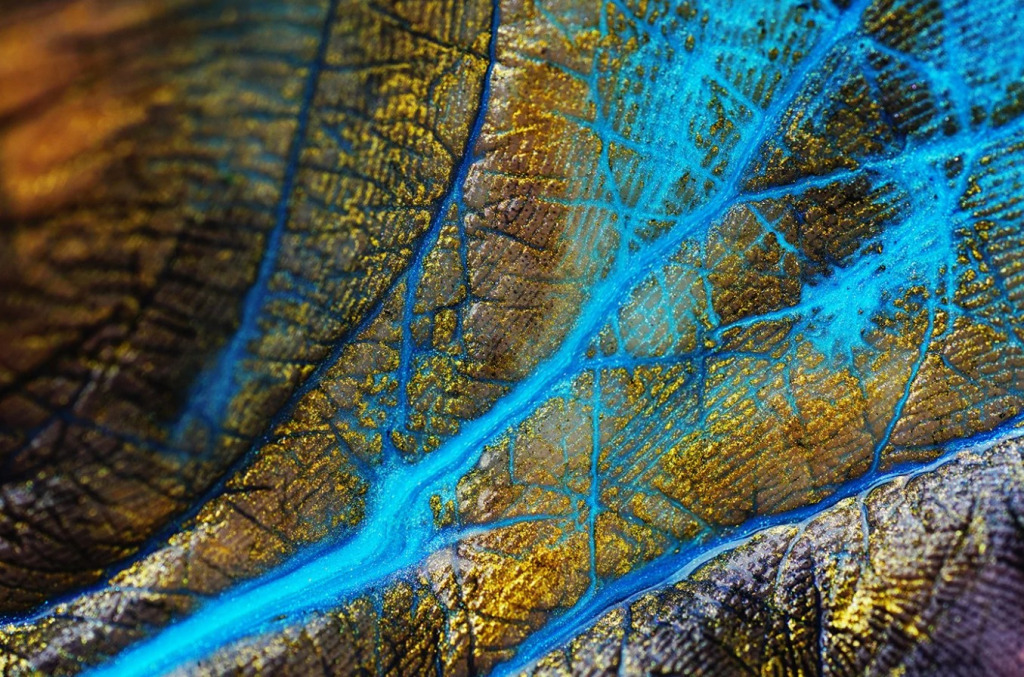 Screenshot 2024-06-30 061806 jigsaw puzzle in Carol Bush puzzles on TheJigsawPuzzles.com