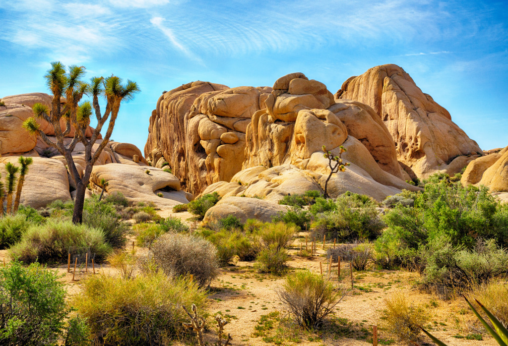 Joshua Tree Nationalpark, Kalifornien, USA jigsaw puzzle in Großartige Landschaften puzzles on TheJigsawPuzzles.com