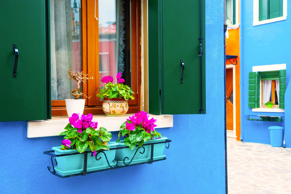 Fenster mit Blumen auf der Insel Burano, Italien jigsaw puzzle in Blumen puzzles on TheJigsawPuzzles.com