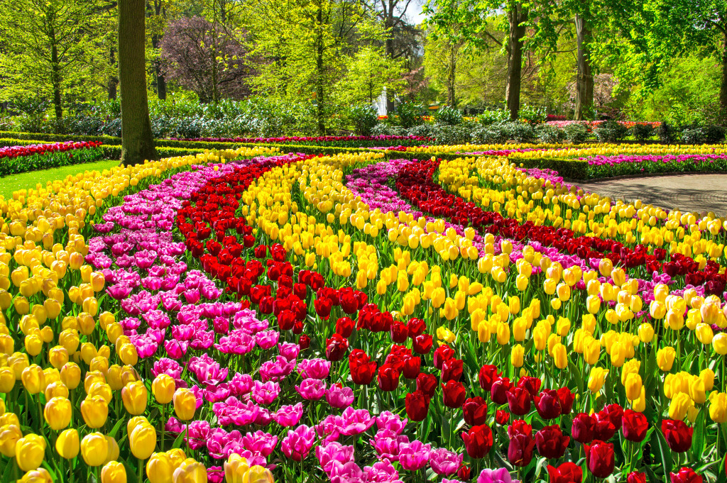 Spring in Keukenhof Park, Netherlands jigsaw puzzle in Flowers puzzles on TheJigsawPuzzles.com