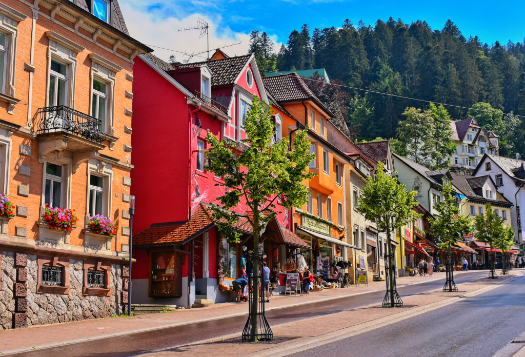 Triberg im Schwarzwald, Germany jigsaw puzzle in Street View puzzles on ...