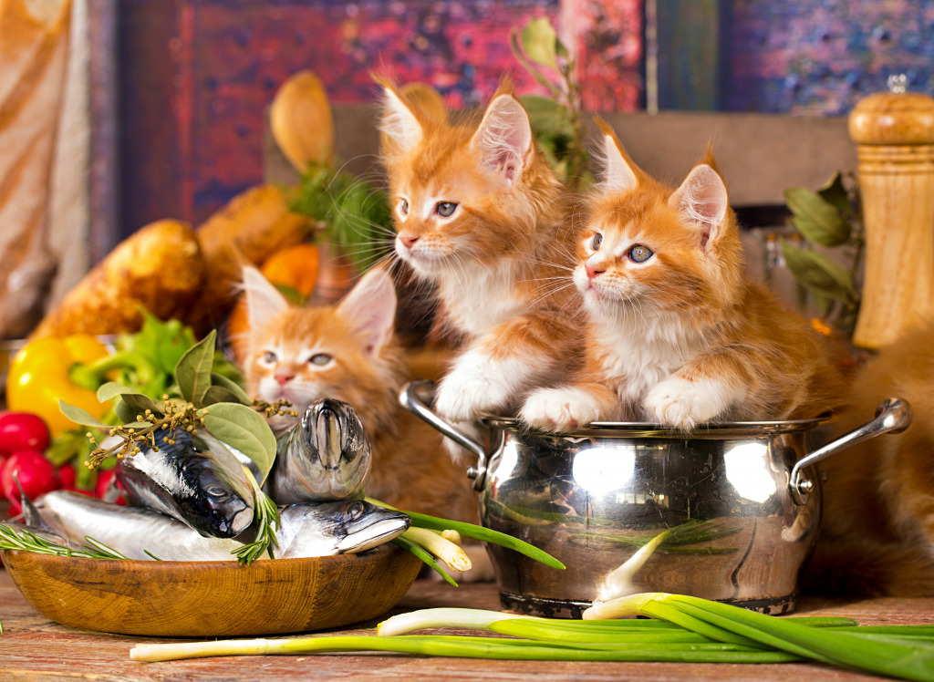 Gatinhos e peixes frescos jigsaw puzzle in Animais puzzles on TheJigsawPuzzles.com