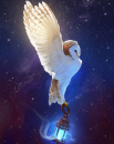 Owl.