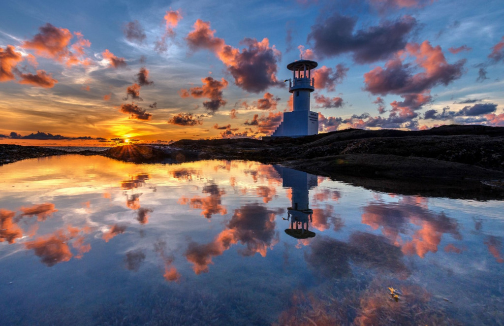 Screenshot 2024-07-31 034858 jigsaw puzzle in Carol Bush puzzles on TheJigsawPuzzles.com