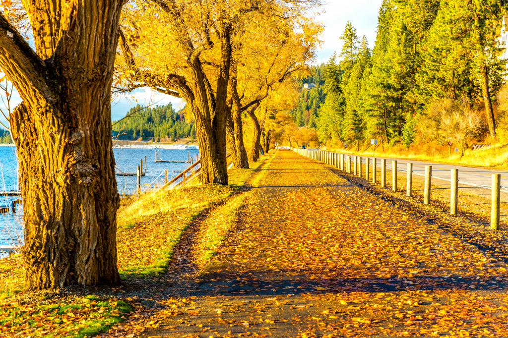 Autumn Leaves on a Walkway, Idaho, USA jigsaw puzzle in Great Sightings puzzles on TheJigsawPuzzles.com