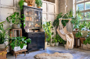 Vintage Living Room with Green Indoor Plants