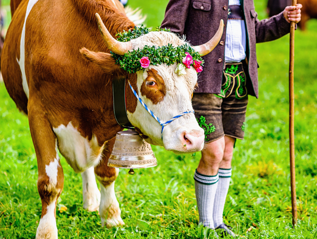 Festively Decorated Cow in the Alps jigsaw puzzle in Animals puzzles on TheJigsawPuzzles.com