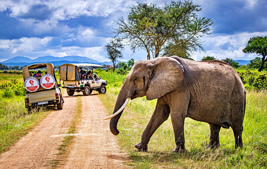 Safari Jeep in the National Park in Tanzania jigsaw puzzle in Animals puzzles on TheJigsawPuzzles.com