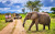 Safari Jeep in the National Park in Tanzania