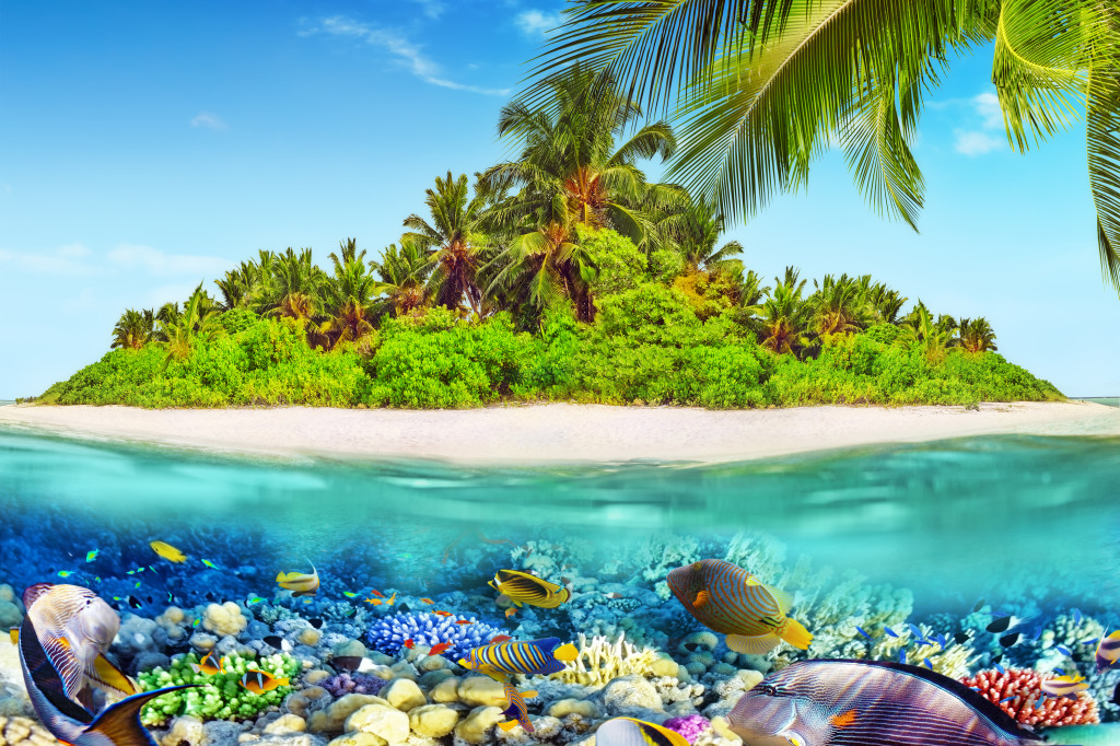 Île tropicale dans l’océan jigsaw puzzle in Sous les mers puzzles on TheJigsawPuzzles.com