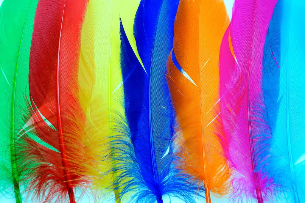 Plumes duveteuses multicolores jigsaw puzzle in Macrophotographie puzzles on TheJigsawPuzzles.com