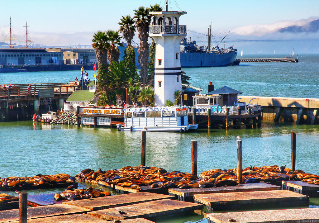 Lions de mer au Pier 39, San Francisco CA, États-Unis jigsaw puzzle in Magnifiques vues puzzles on TheJigsawPuzzles.com