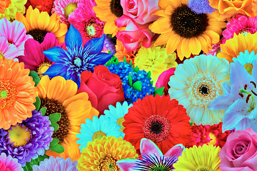 Eine Vielzahl von bunten Blumen im Sommer jigsaw puzzle in Blumen puzzles on TheJigsawPuzzles.com