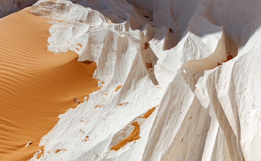 Screenshot 2024-08-13 052114 jigsaw puzzle in Carol Bush puzzles on TheJigsawPuzzles.com