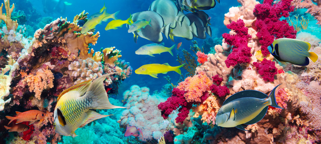 Colorful Rocky Reef with Corals jigsaw puzzle in Under the Sea puzzles on TheJigsawPuzzles.com