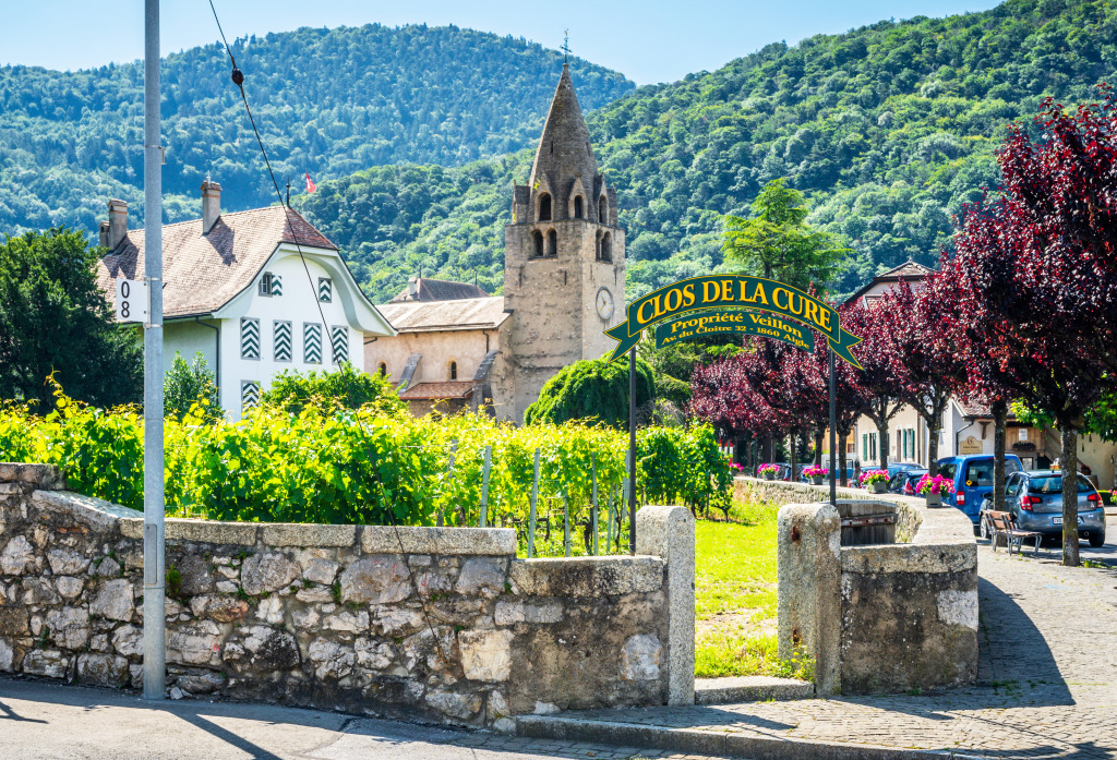 Entrée d’un vignoble à Aigle, Suisse jigsaw puzzle in Paysages urbains puzzles on TheJigsawPuzzles.com