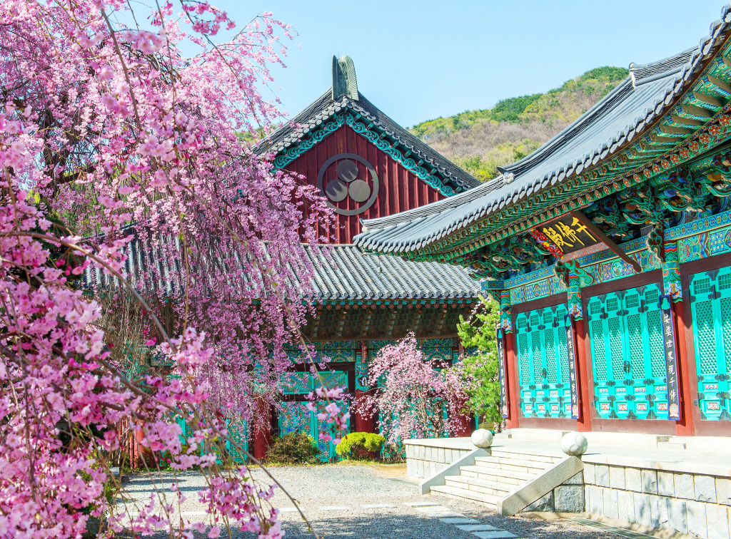 Palácio Gyeongbokgung com flor de cerejeira jigsaw puzzle in Castelos puzzles on TheJigsawPuzzles.com